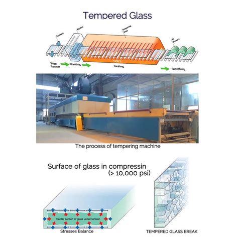 carey brille|Toughened Glass Processors 